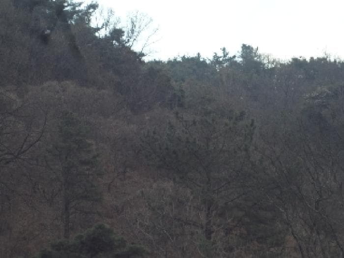 경상남도 창녕군 도천면 어만리 산140 외 1 필지