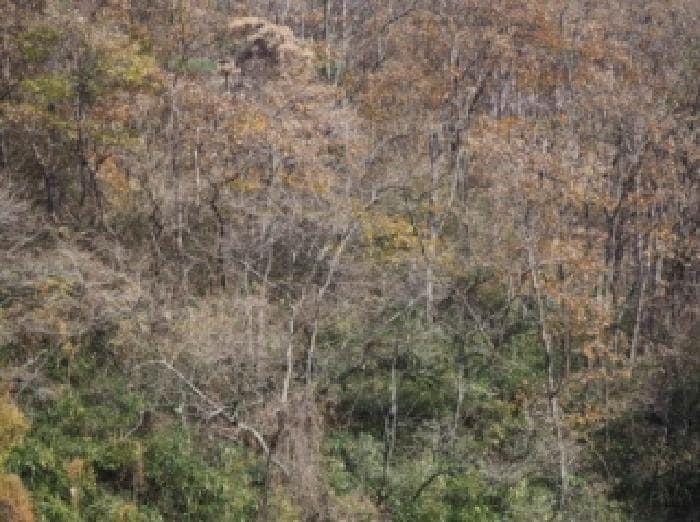 경상남도 밀양시 청도면 구기리 산47