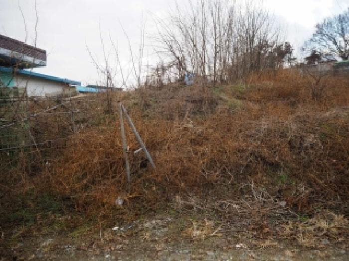 경상남도 창녕군 영산면 월령리 1075