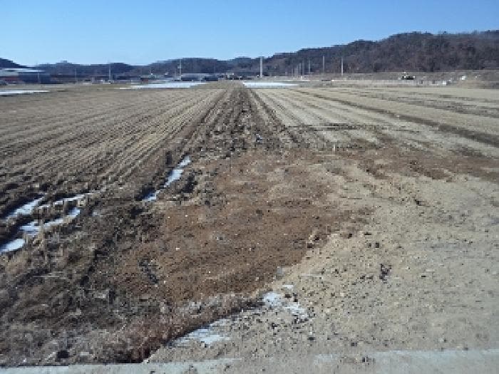 경상남도 창녕군 장마면 강리 143