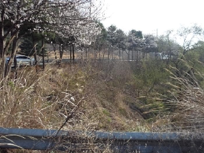 경상남도 밀양시 초동면 오방리 619-1 외 1 필지