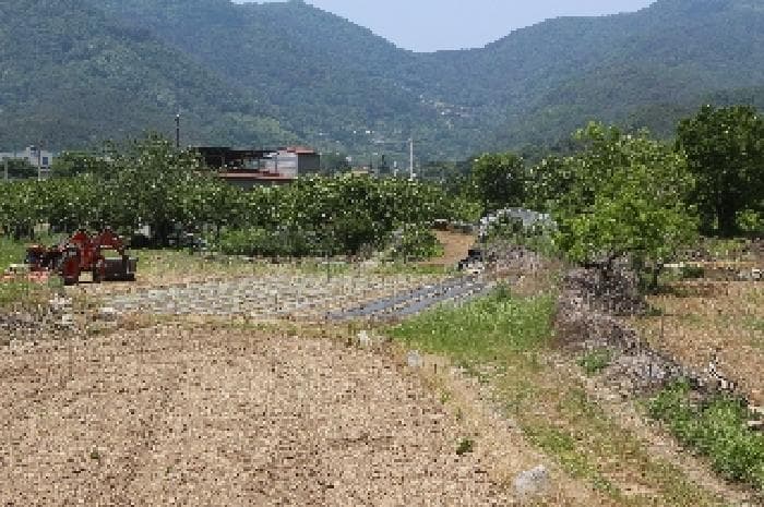 경상남도 밀양시 청도면 인산리 988 외 1 필지