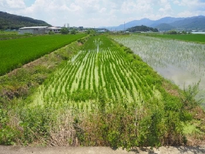 경상남도 밀양시 부북면 무연리 416-5