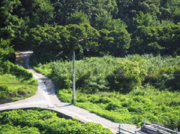 경상남도 밀양시 단장면 국전리 464