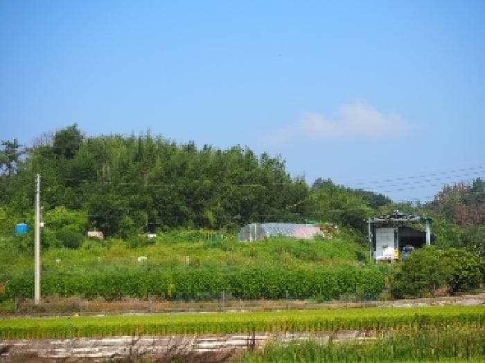 경상남도 창녕군 대지면 용소리 302
