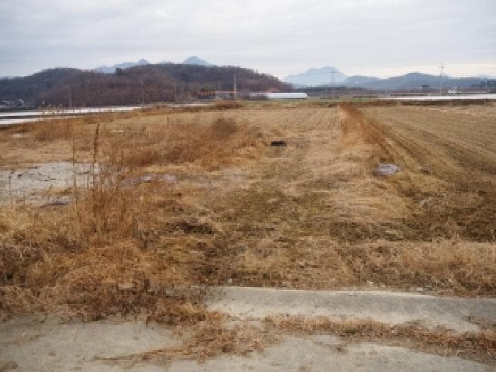 경상남도 창녕군 장마면 장가리 1382-1