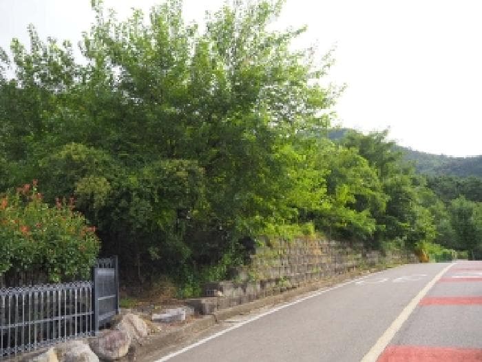 경상남도 창녕군 영산면 교리 64