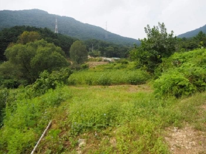 경상남도 창녕군 성산면 대산리 372