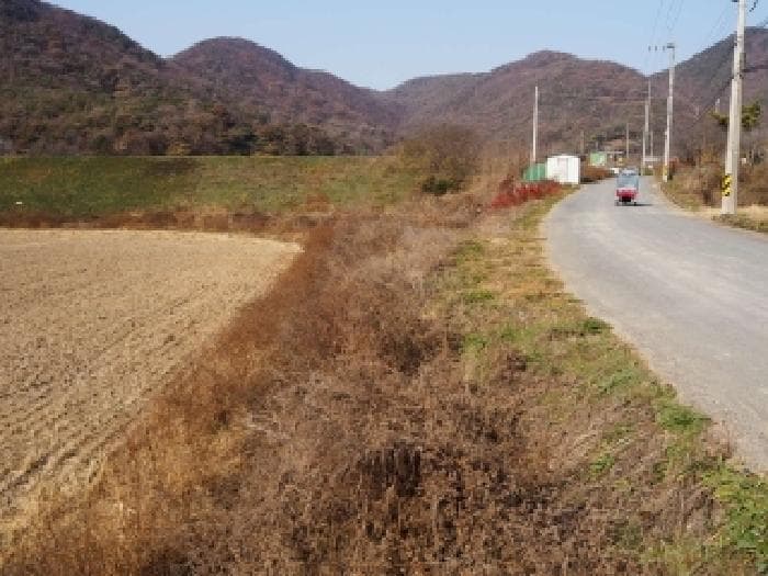 경상남도 밀양시 초동면 봉황리 1115-2