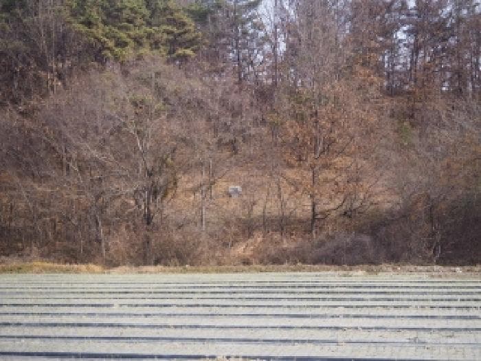 경상남도 창녕군 남지읍 성사리 864