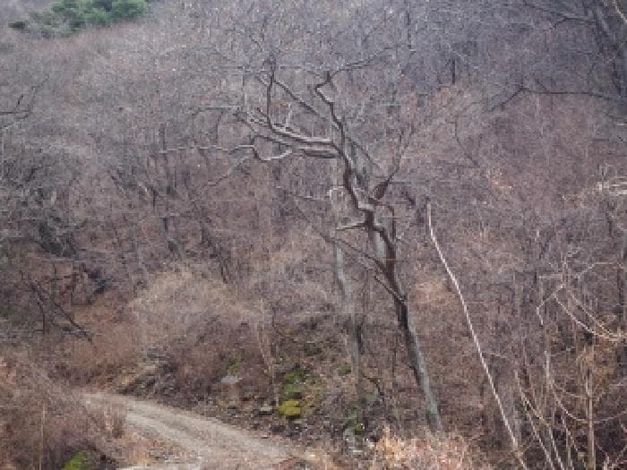 경상남도 밀양시 단장면 사연리 27-1