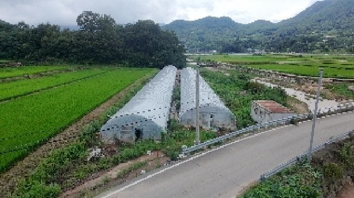 경상남도 합천군 대병면 장단리 772-1