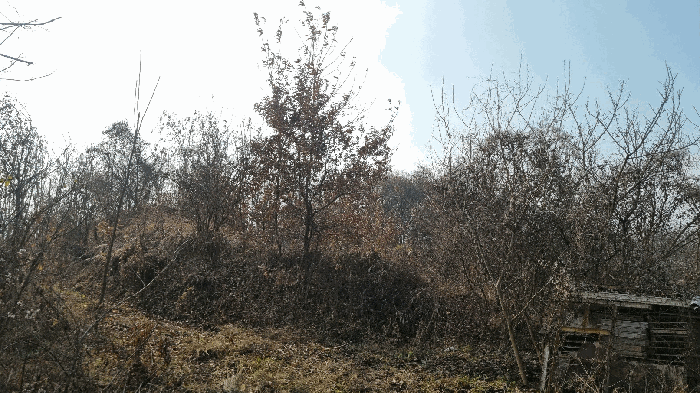 경상남도 함양군 함양읍 신천리 318-1