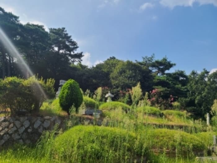 전라남도 장성군 진원면 율곡리 산2-55