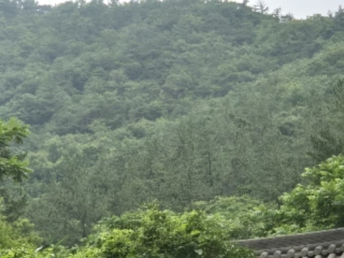 전라남도 영광군 백수읍 길용리 산67-9