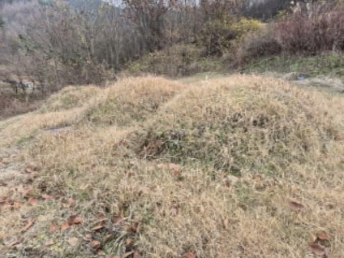전라남도 곡성군 고달면 목동리 39