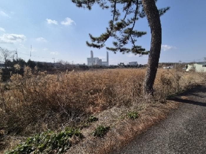 전라남도 나주시 산포면 신도리 756-95