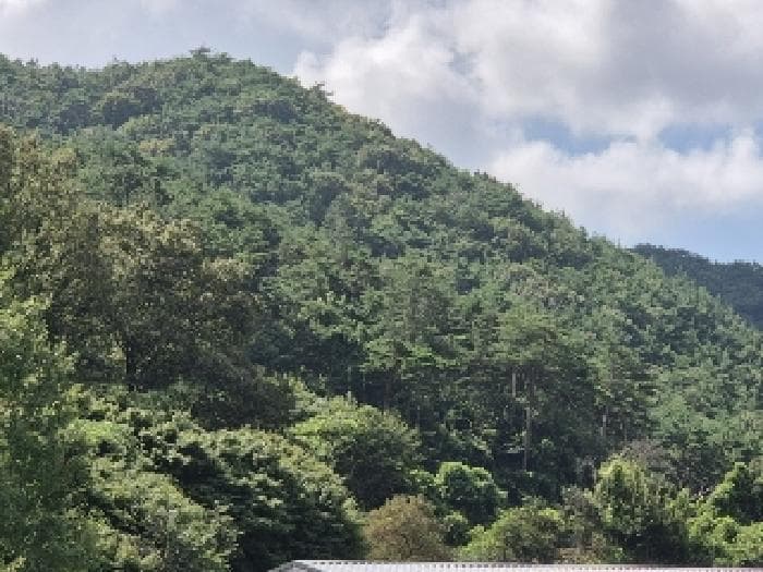 전라남도 화순군 화순읍 앵남리 산105 외 1 필지