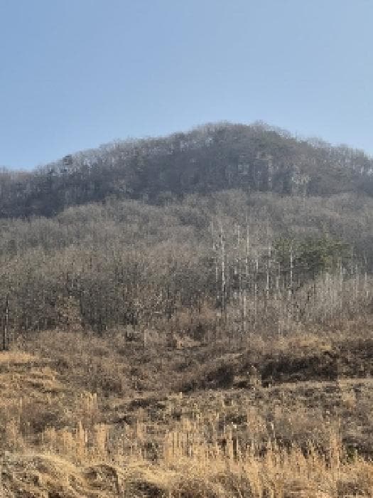 전라남도 화순군 동면 복암리 459-56 외 1 필지