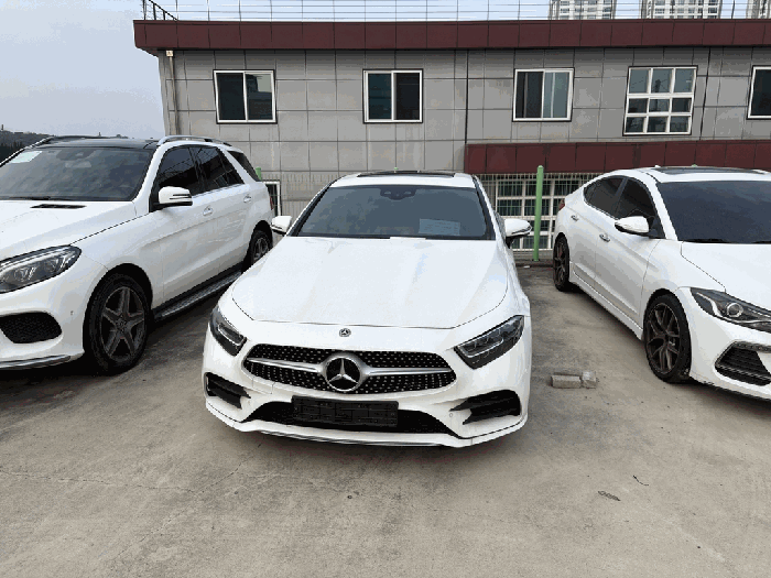 Mercedes-Benz Mercedes-Benz CLS300 d 2020년식