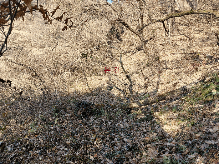 광주광역시 북구 금곡동 452