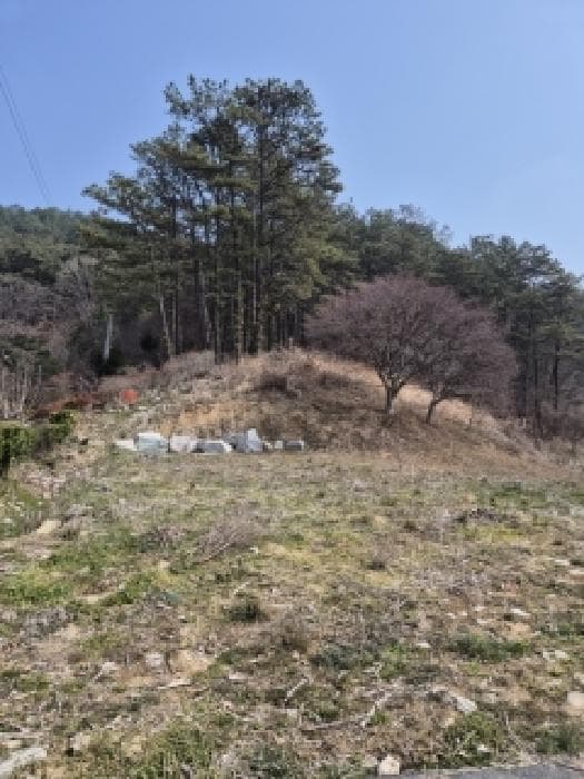 전라남도 장성군 북하면 대악리 산93