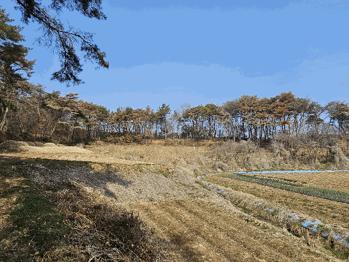 광주광역시 광산구 도덕동 321-4 외 2 필지