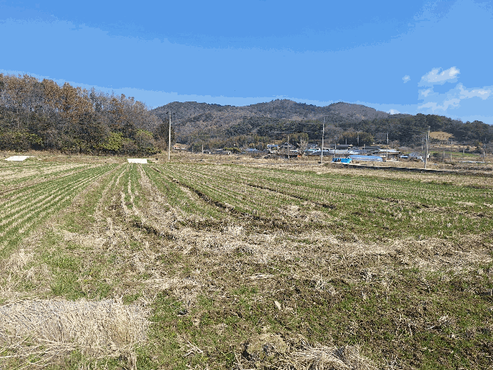 전라남도 영광군 묘량면 월암리 1271-4