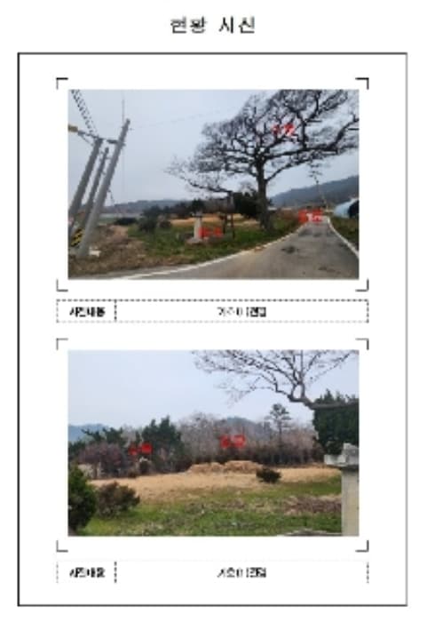전라남도 신안군 지도읍 감정리 산37