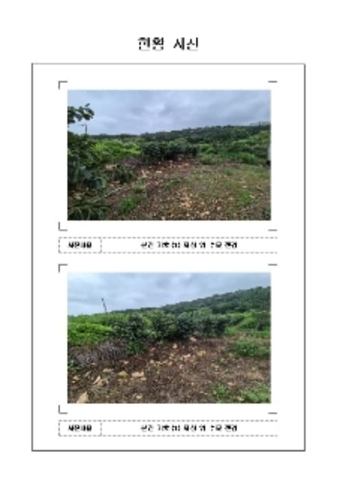 전라남도 영암군 학산면 독천리 118