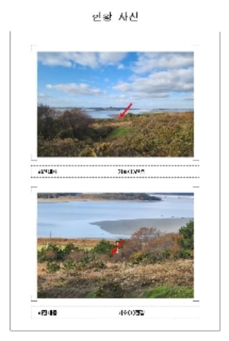 전라남도 신안군 암태면 도창리 280