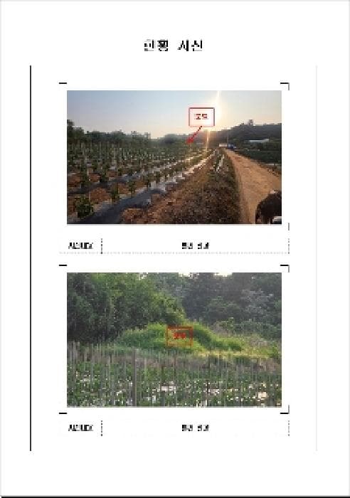 전라남도 무안군 일로읍 산정리 586-12
