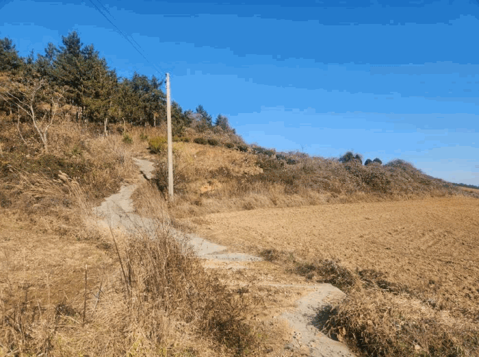 전라남도 신안군 지도읍 광정리 산106
