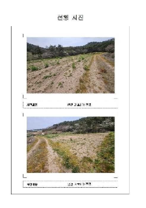 전라남도 신안군 지도읍 광정리 1335