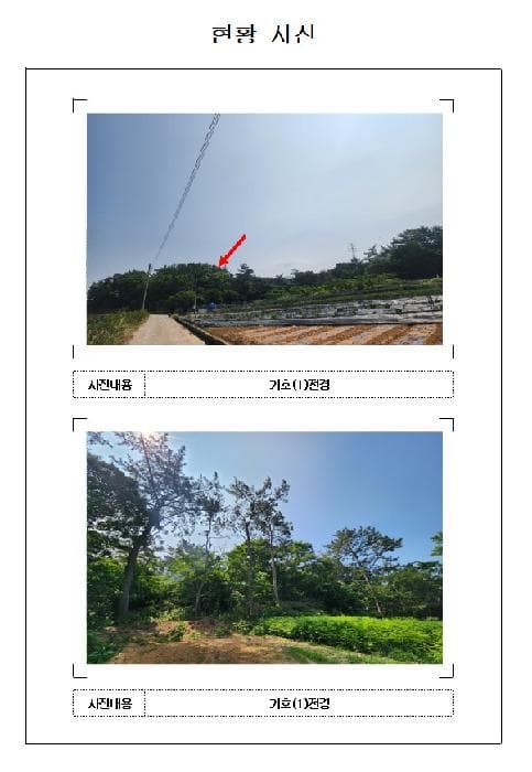 전라남도 영암군 삼호읍 삼포리 산52-1