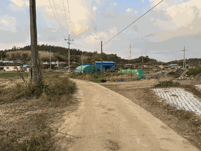 전라남도 신안군 압해읍 고이리 713