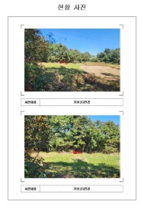 전라남도 영암군 삼호읍 동호리 425