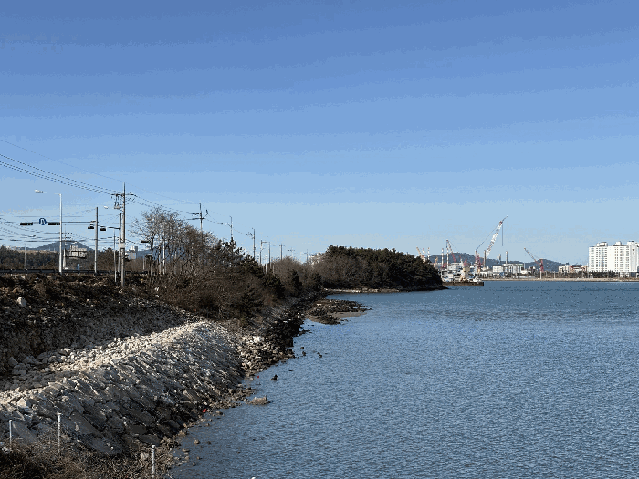 전라남도 영암군 삼호읍 용당리 산155-1
