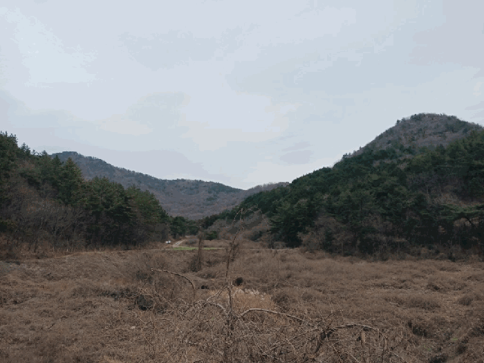 전라남도 영암군 학산면 신덕리 산164 외 4 필지