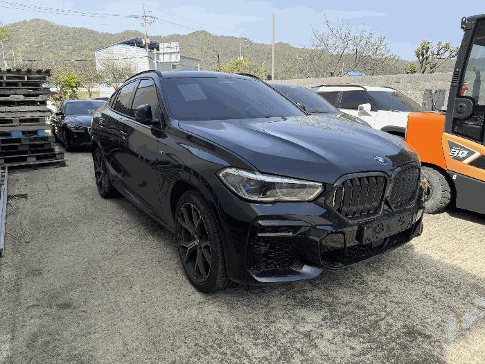 비엠더블유 BMW X6 xDrive30d 2023년식