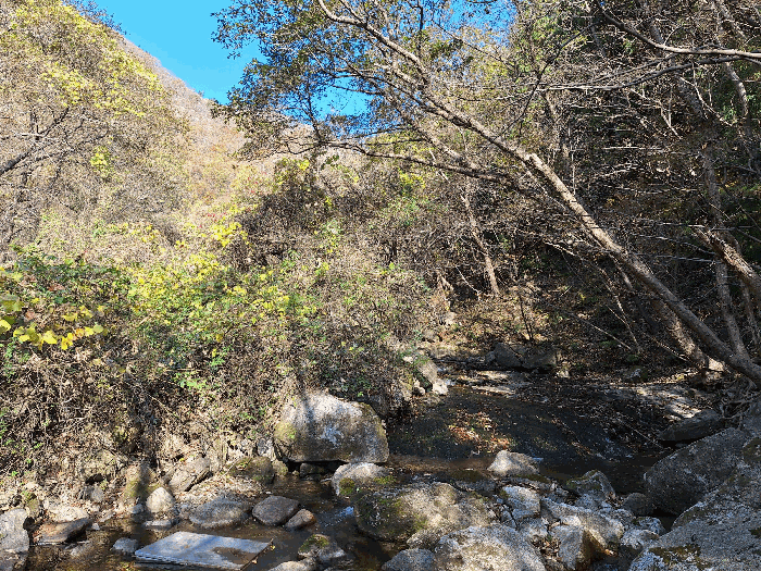 전라남도 장흥군 안양면 학송리 산75