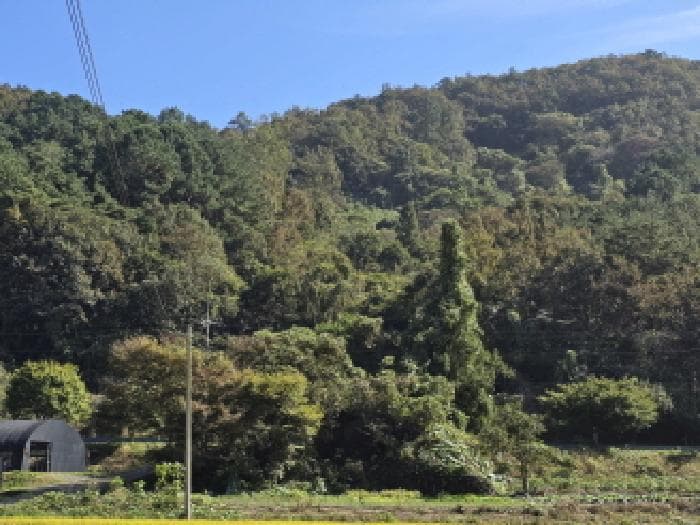 전라남도 장흥군 유치면 관동리 산166-1