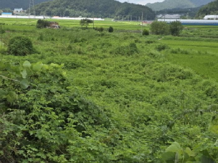 전라남도 강진군 성전면 월평리 400-1