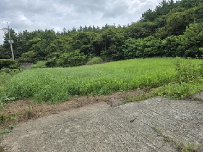전라남도 장흥군 관산읍 지정리 132-4
