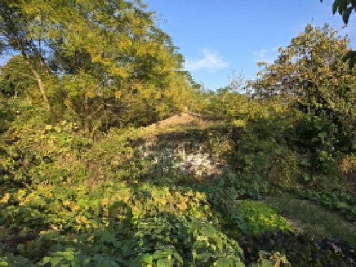 전라남도 장흥군 장흥읍 금산리 536-1