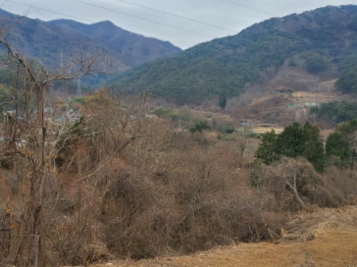 전라남도 순천시 주암면 행정리 370-1