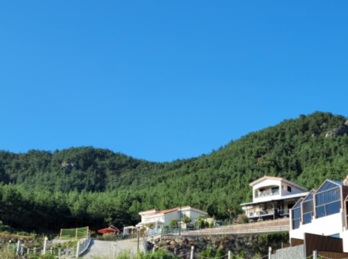 전라남도 여수시 화양면 이목리 산144-5