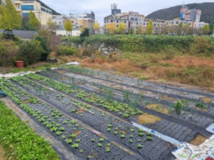전라남도 여수시 미평동 644-1