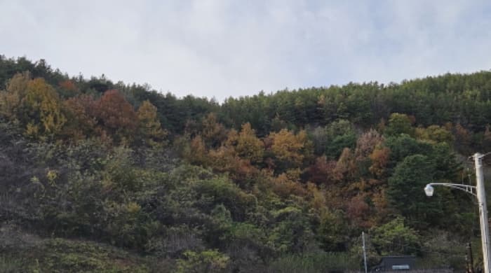 전라남도 광양시 성황동 산90-25