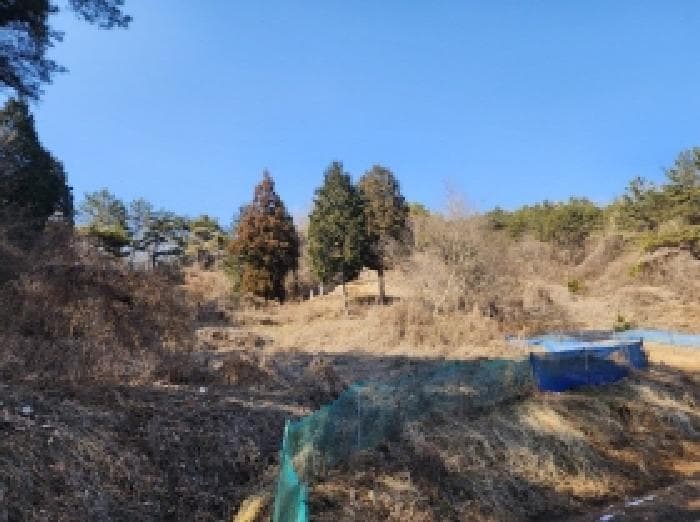 전라남도 보성군 문덕면 귀산리 산112